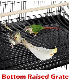 Amazon.com : Lot of Three Aviary Breeding Bird Center